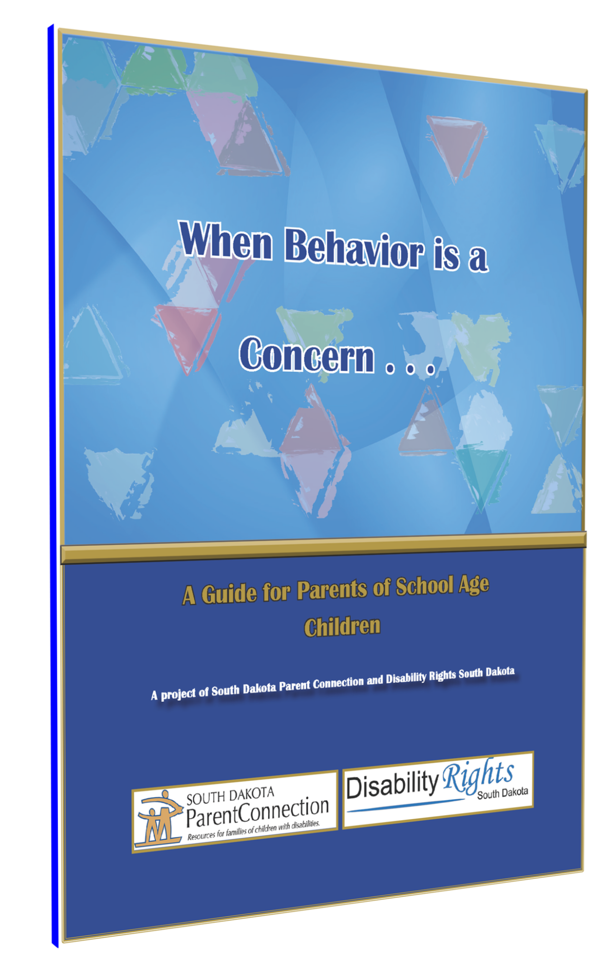 when behavior is a concern guide cover