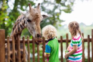 A giraffe leans its head toward two children standing by a wooden fence.